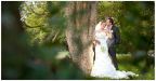Wedding Gallery - 74.jpg