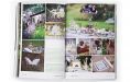 Published Work Gallery - p15.jpg