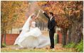 Wedding Gallery - w33.jpg