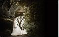 Wedding Gallery - w77.jpg